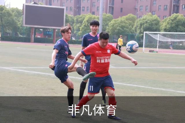 非凡体育公司介绍